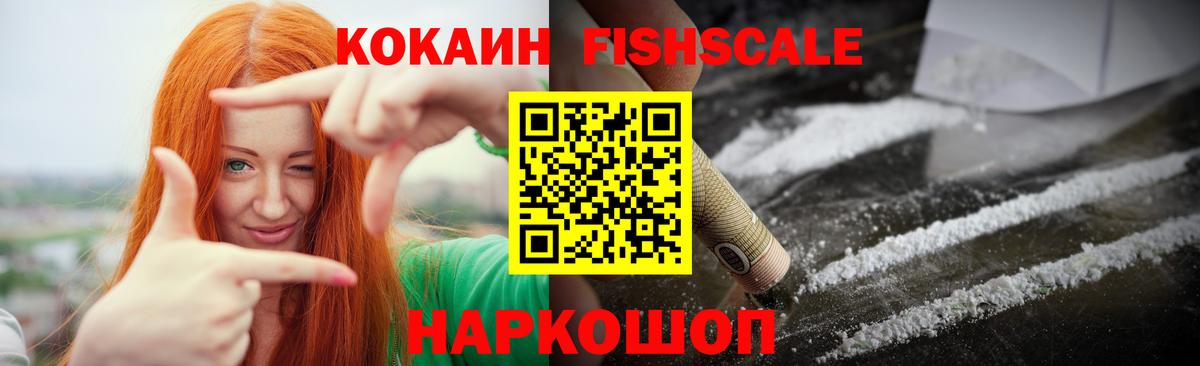 Cocaine Fish Scale  COCAIN Columbia  Заволжье  Вход с VPN 