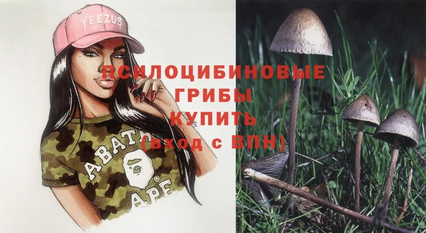 гидра Абинск