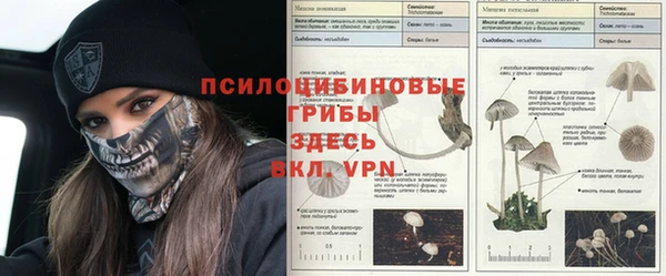 прущая мука Абдулино