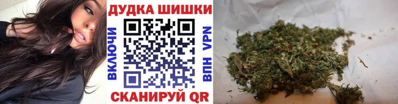 Канабис гибрид  Заволжье 